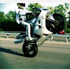 Meet your Posher, William